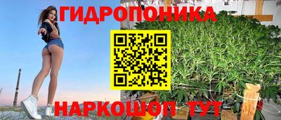 кокс Донской