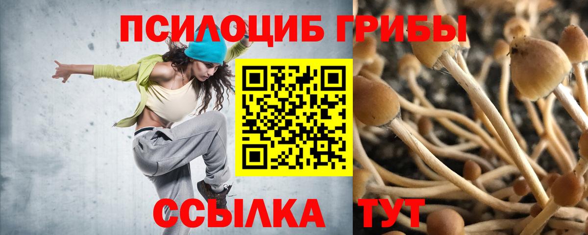 Галлюциногенные грибы прущие грибы Миллерово